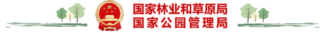 各地林草头条丨山东省冬春季森林草原防灭火工作电视会议召开