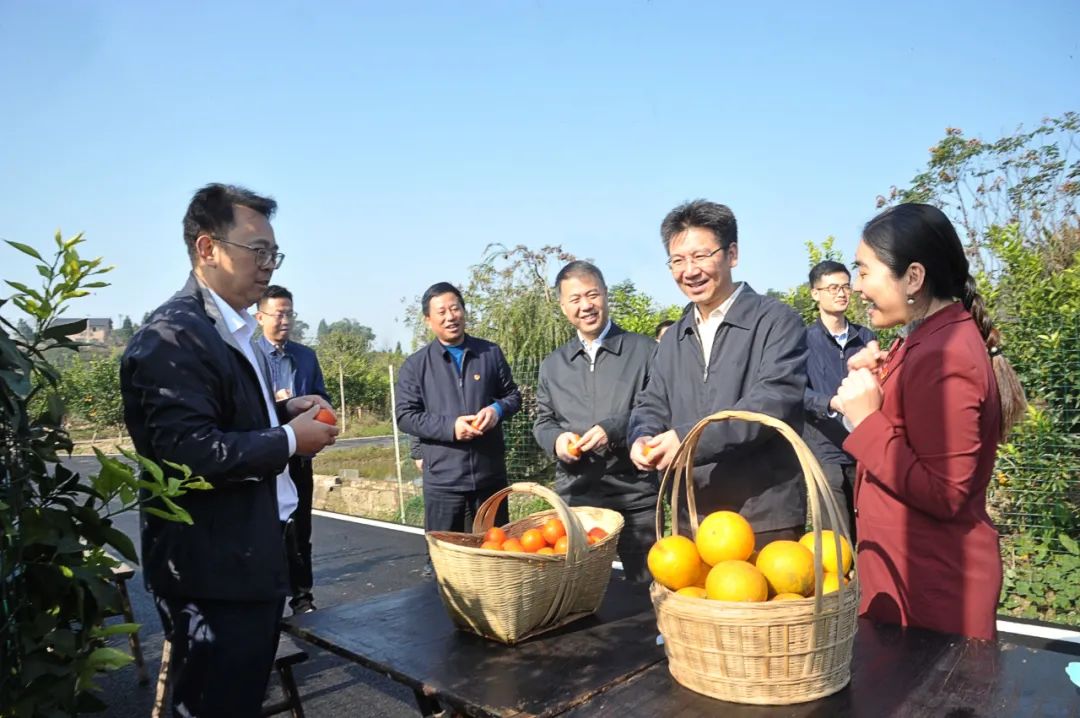 贺军科：共青团学习宣传贯彻党的十九届五中全会精神要找准着力点提高实效性