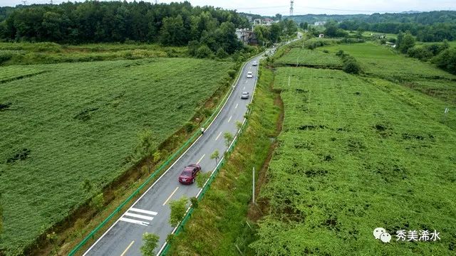 陌陌：澳门天天彩全年免费资料-自豪！农村硬道遍浠川，喜看沿途笑语欢！  第16张