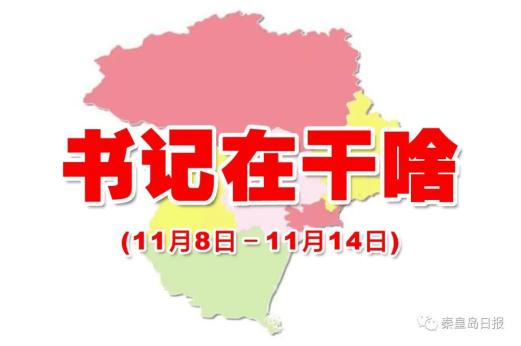 讲政治、勇担当、抓落实、促发展——书记在干啥