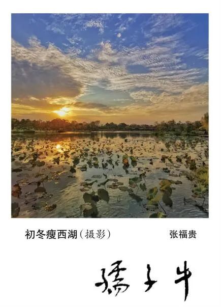 罗雪村：永远记着您的善良   - 《孺子牛》文学副刊3则