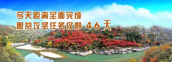 知乎圆桌：2024年管家婆精准一肖-甘肃省疾控中心最新提示！