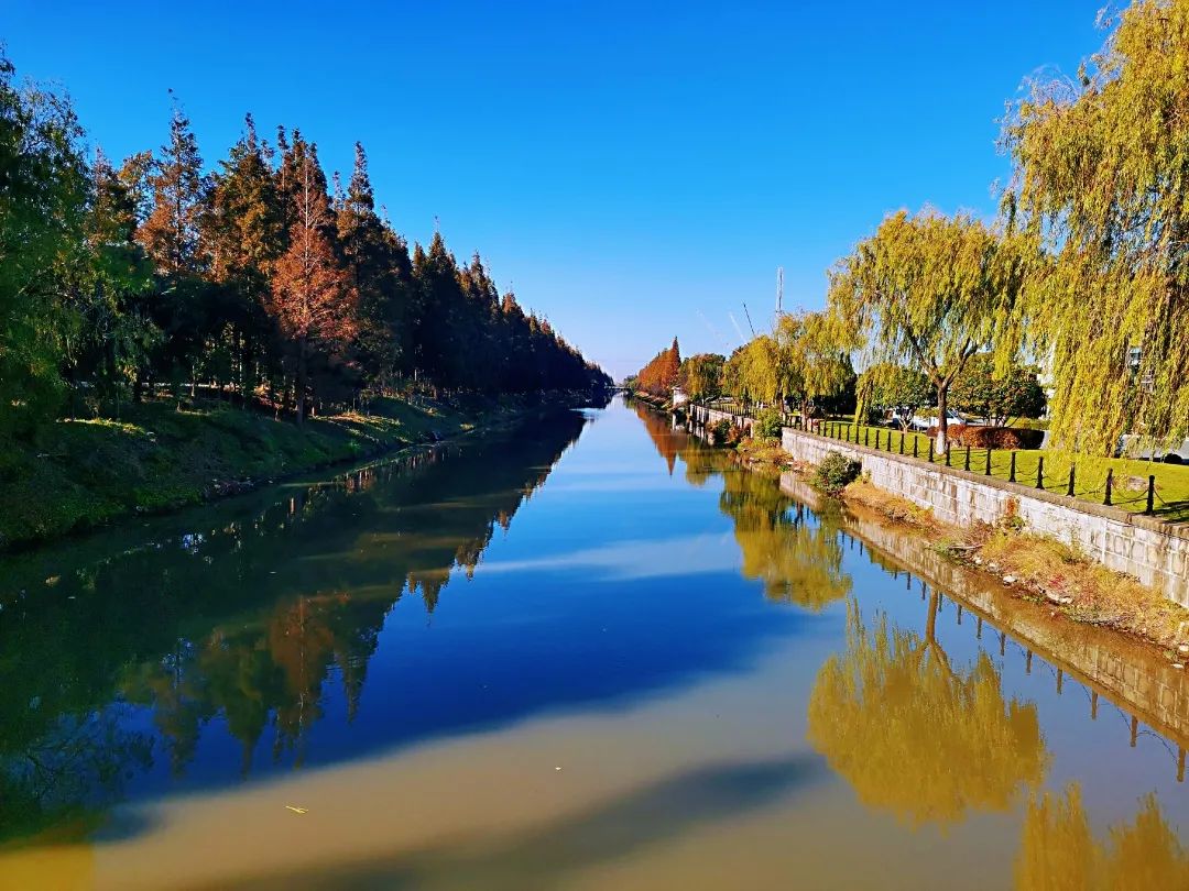 巴黎太远，来奉贤海湾感受初冬油画般风景的浪漫！