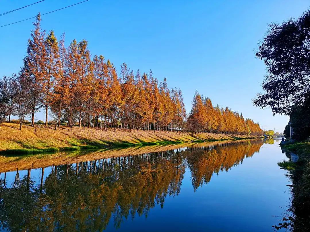 巴黎太远，来奉贤海湾感受初冬油画般风景的浪漫！