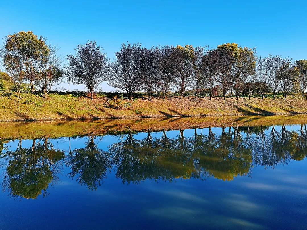 巴黎太远，来奉贤海湾感受初冬油画般风景的浪漫！