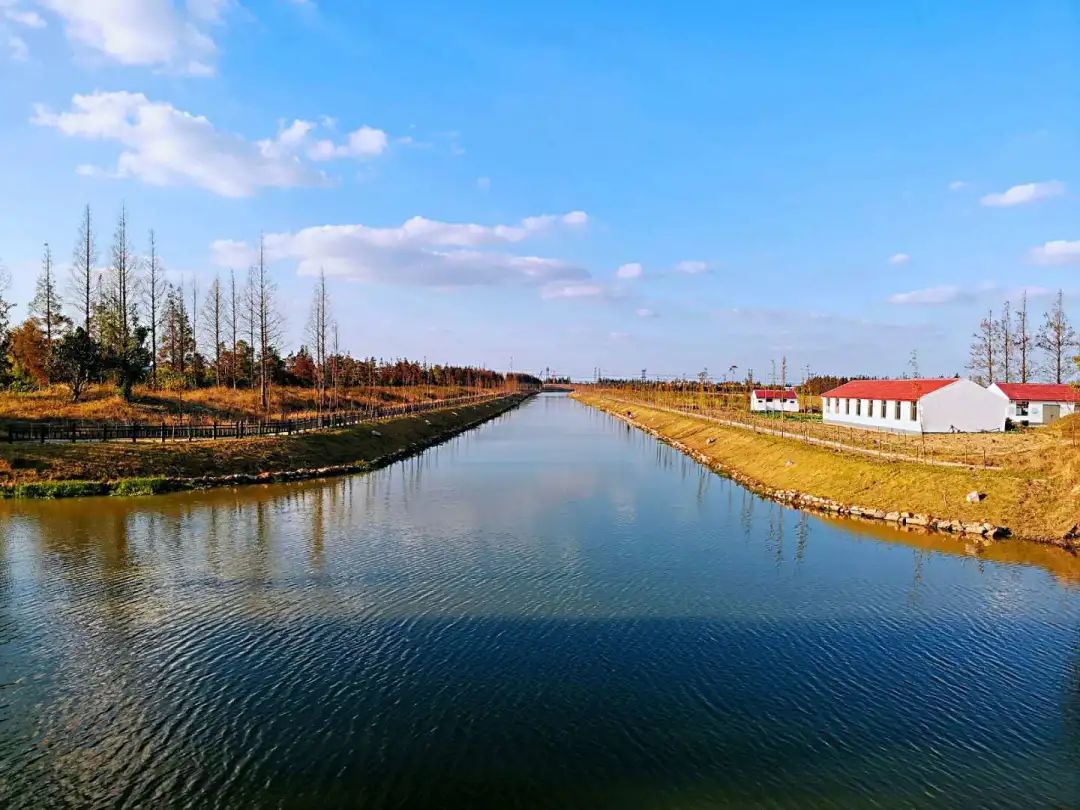 巴黎太远，来奉贤海湾感受初冬油画般风景的浪漫！