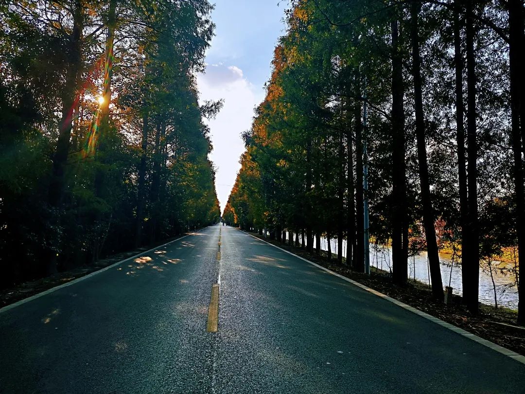 巴黎太远，来奉贤海湾感受初冬油画般风景的浪漫！