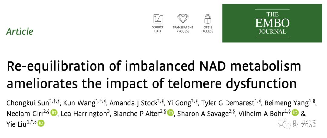 华人学者攻克衰老最大难题，端粒问题的根源在NAD+？