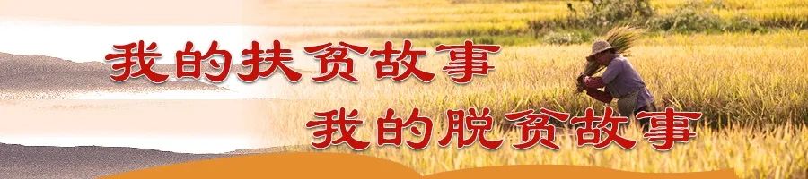 微信表情包：管家婆免费开奖大全-我的扶贫故事丨苦干实干  一心为民写芳华